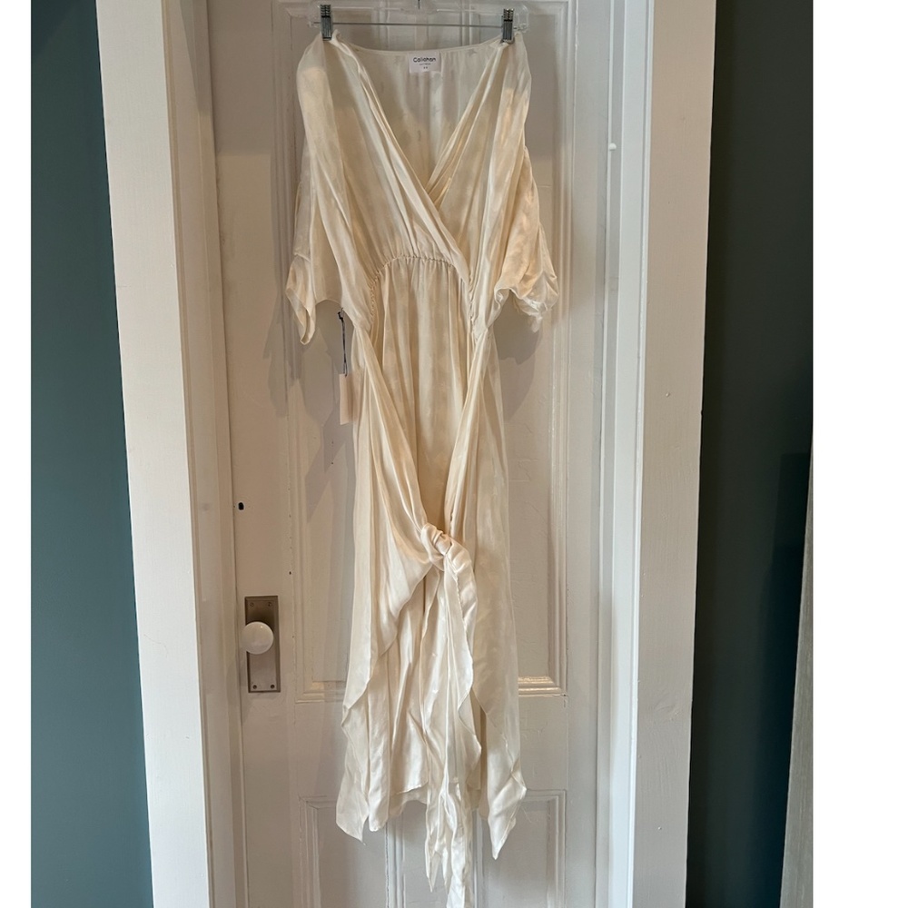 NWT Callahan Dress - Picture 4 of 5